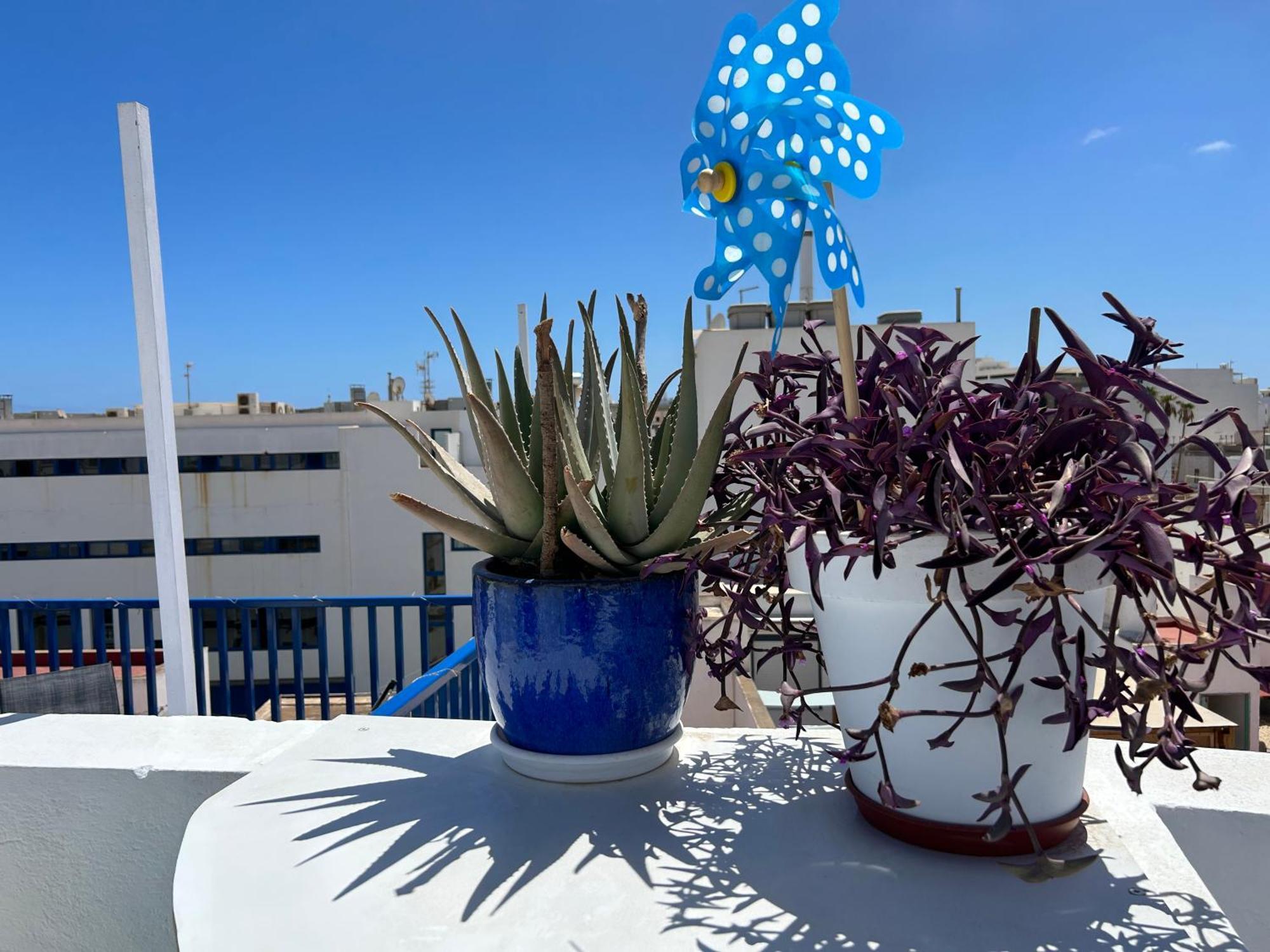 La Buganvilla Rooms Arrecife  Zewnętrze zdjęcie