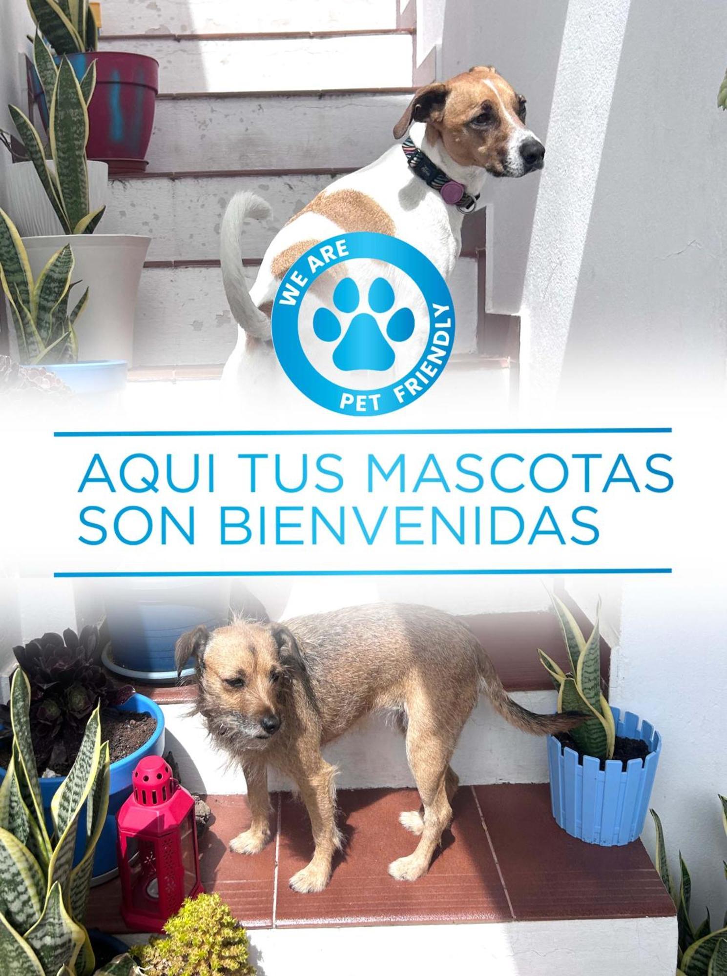 La Buganvilla Rooms Arrecife  Zewnętrze zdjęcie