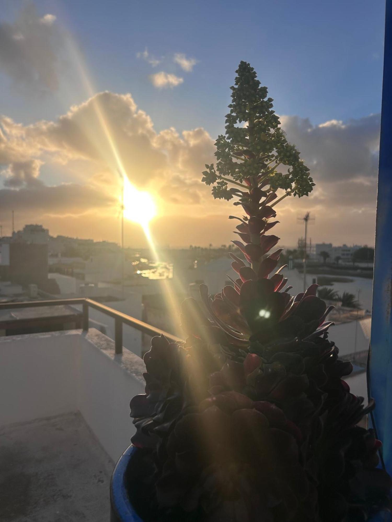 La Buganvilla Rooms Arrecife  Zewnętrze zdjęcie